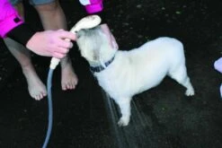 12v Portable Professional Shower Pump System Camping Pet Car Streetwize 14 12v Portable Professional Shower Pump System Camping Pet Car Streetwize -Camping Online 2424